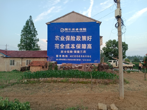 淮滨墙体广告的优劣势你知道吗？